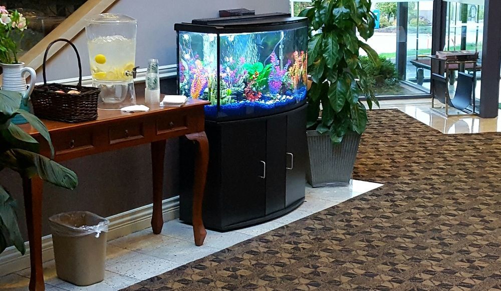 Quality Inn Kamloops Bagian luar foto