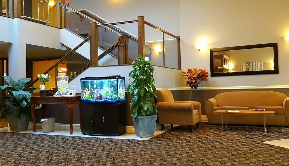 Quality Inn Kamloops Bagian luar foto